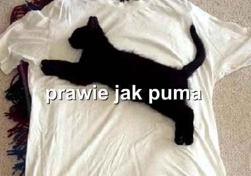 16_1235323853.jpg